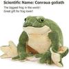Giant Frog Stuffed Animal Frog Plush, Large Stuffed Frog Plush, Big Stuffed Green Frog Pillow for Kids, 22 Inch-Good