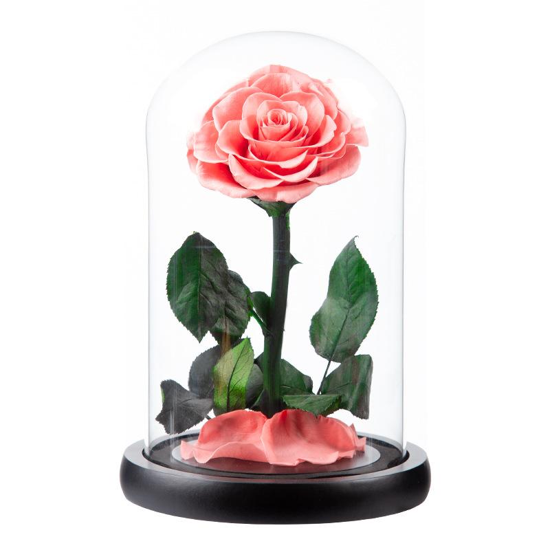 Eternal Flower Rose Finished Glass Cover Gift Box Little Prince Mother's Day Gift Eternal Flower