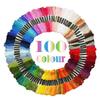 50/100/200 Skeins Per Pack Rainbow Color Embroidery Floss Cross Stitch Threads Cotton Floss Craft Yarn For Bracelet Making DIY
