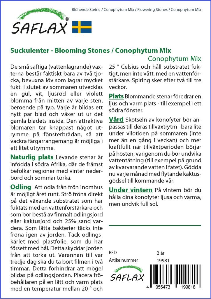 SAFLAX Garden in the Bag - Цветущие камни / Conophytum Mix - 40 семян - С субстратом в подходящем стоячем пакете - Conophytum Mix