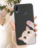 Casing For Asus ZB602KL Cover For Asus Zenfone Max Pro M1 Case Silicone Cute Cat Fashion Butterfly Funny Painted