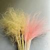Long Pole Feather Grass Dried Flower Fluff Grass Needle Grass, Fresh And Smart Soft Decoration High-End Flower Diy Dried Flower Bouquet
