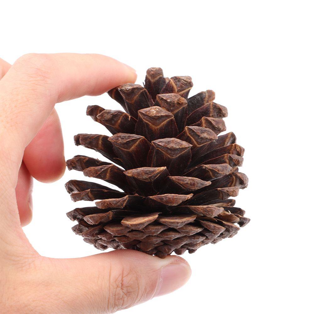 Вечерние DIY гирлянда реквизит для фотосессии свадебные шишки сушеные растения натуральные сосновые шишки украшения для рождественской елки