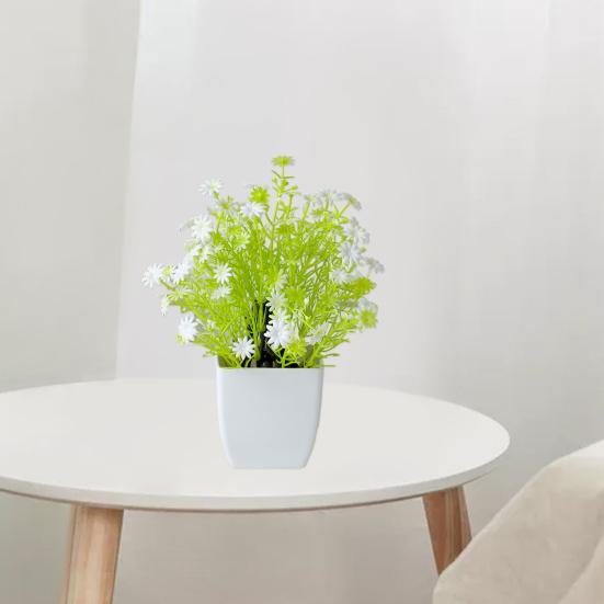 Красивые растения в горшках, не требующие полива, создают романтическую атмосферу