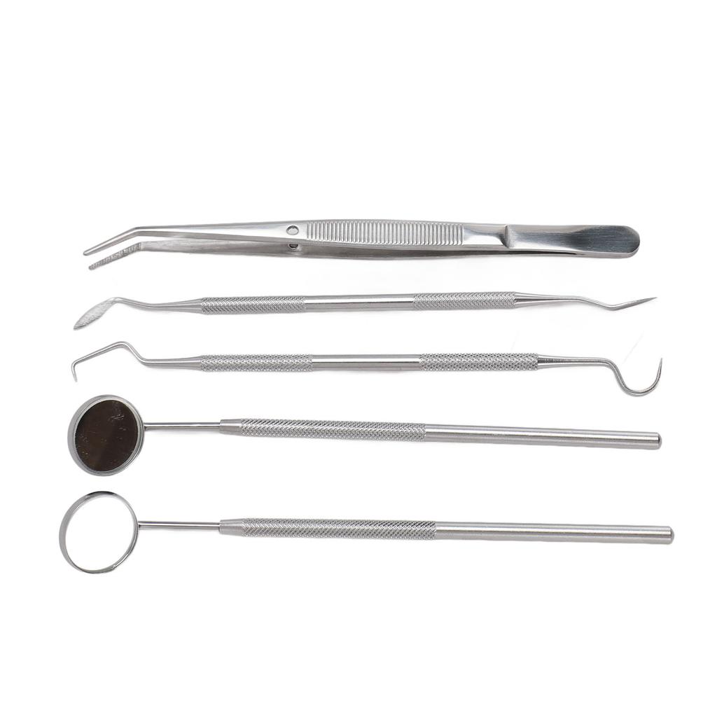 5 шт. профессиональные инструменты для ухода за полостью рта из нержавеющей стали, инструмент для удаления зубного камня и чистки зубов