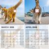 2026 Милые кошки Настенный календарь Календарь с кошачьим мячиком Для любителей кошек 12 месяцев Забавные моменты с кошками Подвесной настенный календарь
