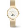 Часы Daniel Wellington DW00100771 Petite Moonphase 32