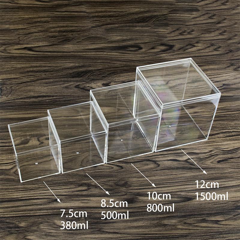 Square High Transparent Plastic Box Betta Breeding Box Mini Candy Packaging Box