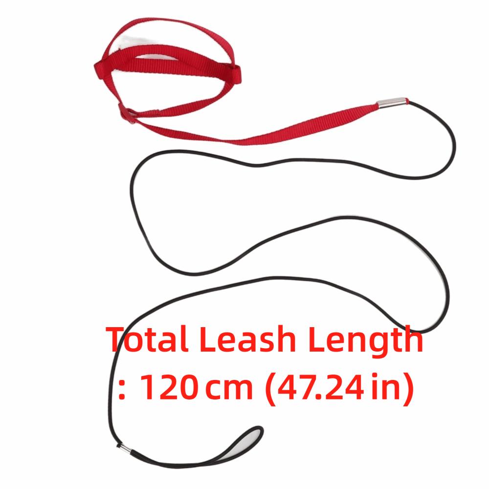 Bite Resistant Bird Training Leash Adjustable Design Pet Harness Leash For Walking