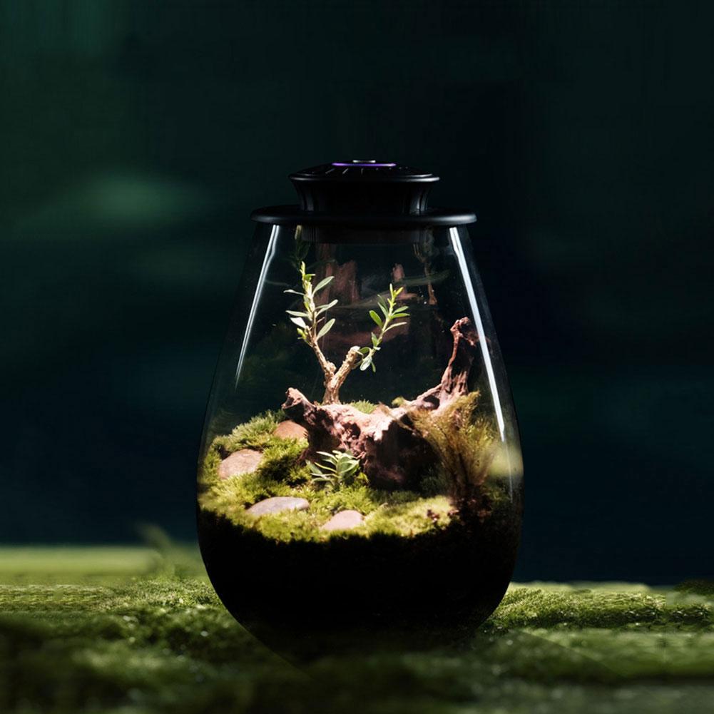 Стеклянный террариум для суккулентов с подсветкой для растений, настольный стеклянный террариум для растений для дома, сада, офиса, настольное украшение
