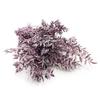 Ruskus Stabilizowany - (Ruscus) - Fioletowy Matowy