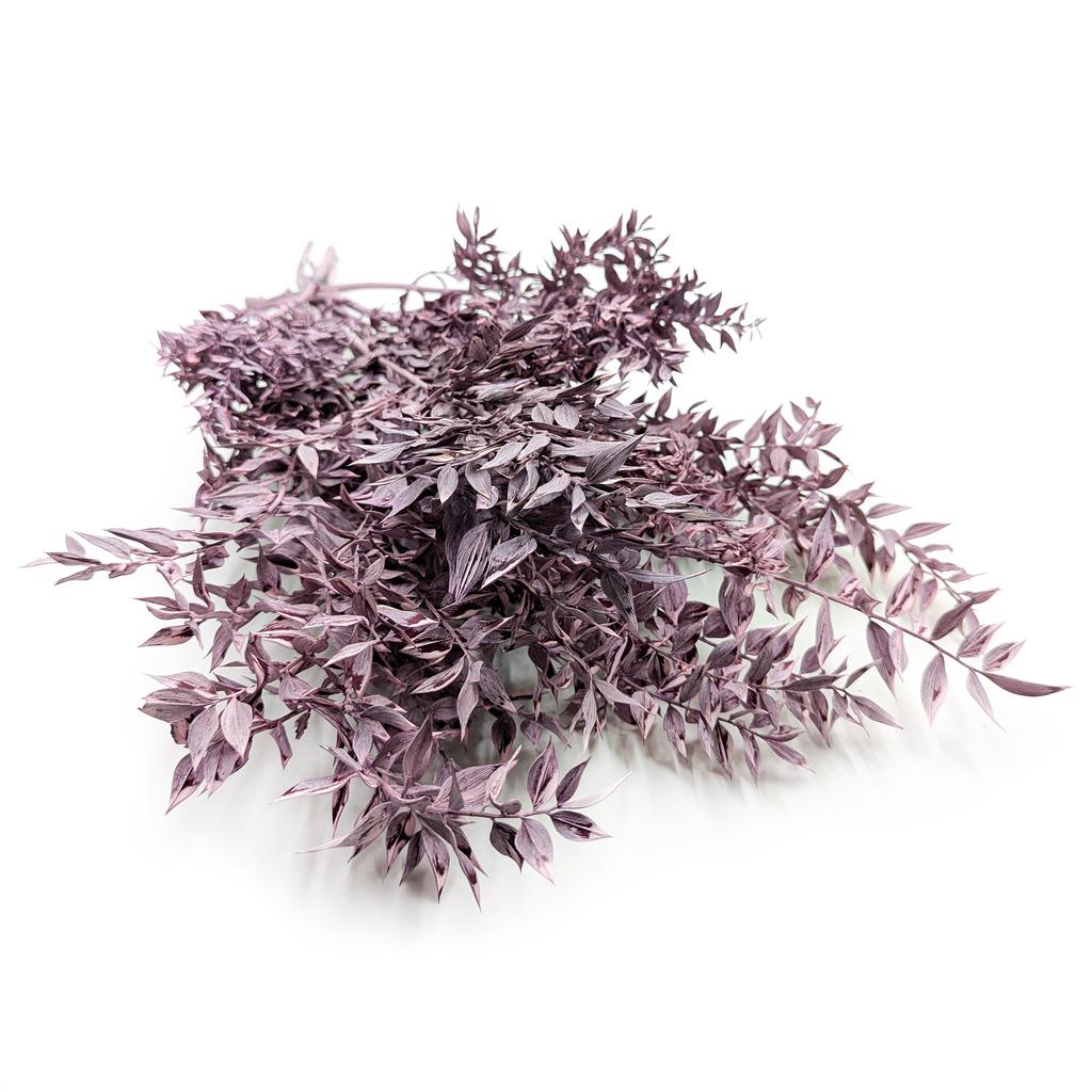 Ruskus Stabilizowany - (Ruscus) - Fioletowy Matowy