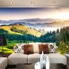 Фотообои 3D луг пейзаж гостиная спальня ресторан телевизор фон настенные росписи
