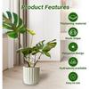 Plant Support Stakes Monstera Shaped Plant Stand, Acrylic Flower Shape Plant Growth Accessories for Indoor Outdoor Plants