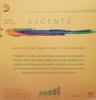 D’Addario Ascenté Viola String Set A410 XSM (Extra Short Scale 13–14", Medium)