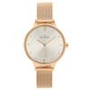Anita Watch 30mm Mesh Belt Quartz SKAGEN Rose Gold [Skagen] Women's (1)SKW2151 [Item]