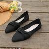 2025 Spring New  Women Flat Shoes Sexy  Shoes Comfortable Shallow Mouth Slip-on Casual Shoes Plus Size