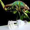 UVB Energy Saving Lamp Plant Reptiles Habitat Lighting Ultraviolet Sun Light 10.0