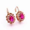 Sweet and Fashionable Classics Ruby Crystal Earrings for Women Elegant Red Flowers Earrings Wedding Fine Zircon Accessories