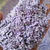1kg DIY Craft Slime Sprinkles Purple Sea Shell Polymer Clay Sprinkles Slices