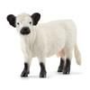 Schleich Ферма Ворлд Галловейская корова 13960N (женский)