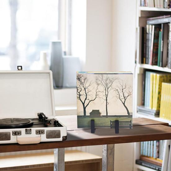 Metal LP Records Holder Desktop Display Stand Shelf for Vinyl Record Storage Minimalist Retro Album Collection Organizer