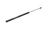Ft00202 Fast Trunk Gas Spring /R
