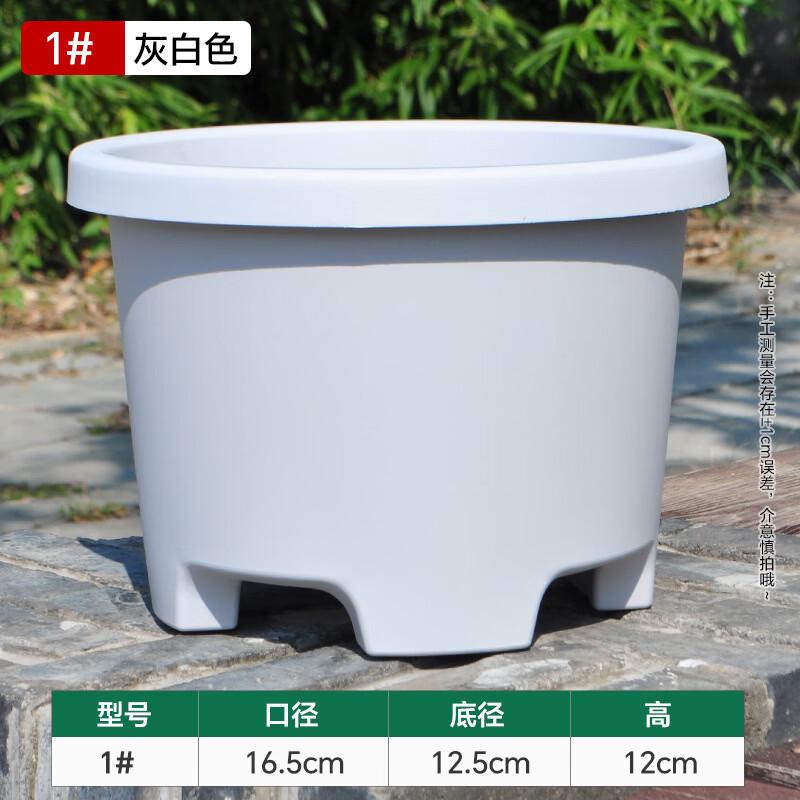 Large Lily Amaryllis Saffron Planter Pot