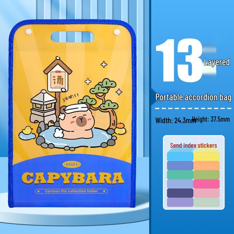 Папка-гармошка формата А4: Капибара Студентский Органайзер для Хранения Тестовых Работ и Данных Большой Вместимости