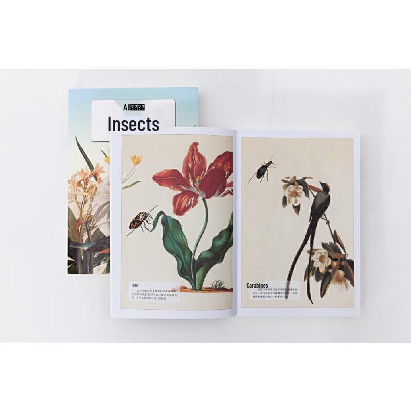 Fabre's The Life of the Insect: Complete 10-Volume Illustrated Collector's Edition