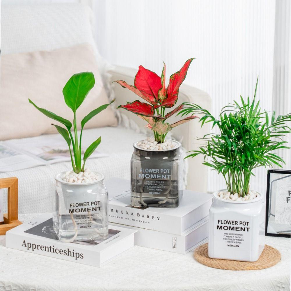 Plastic Hydroponic Plants Pot Self Watering Office Bonsai Decor