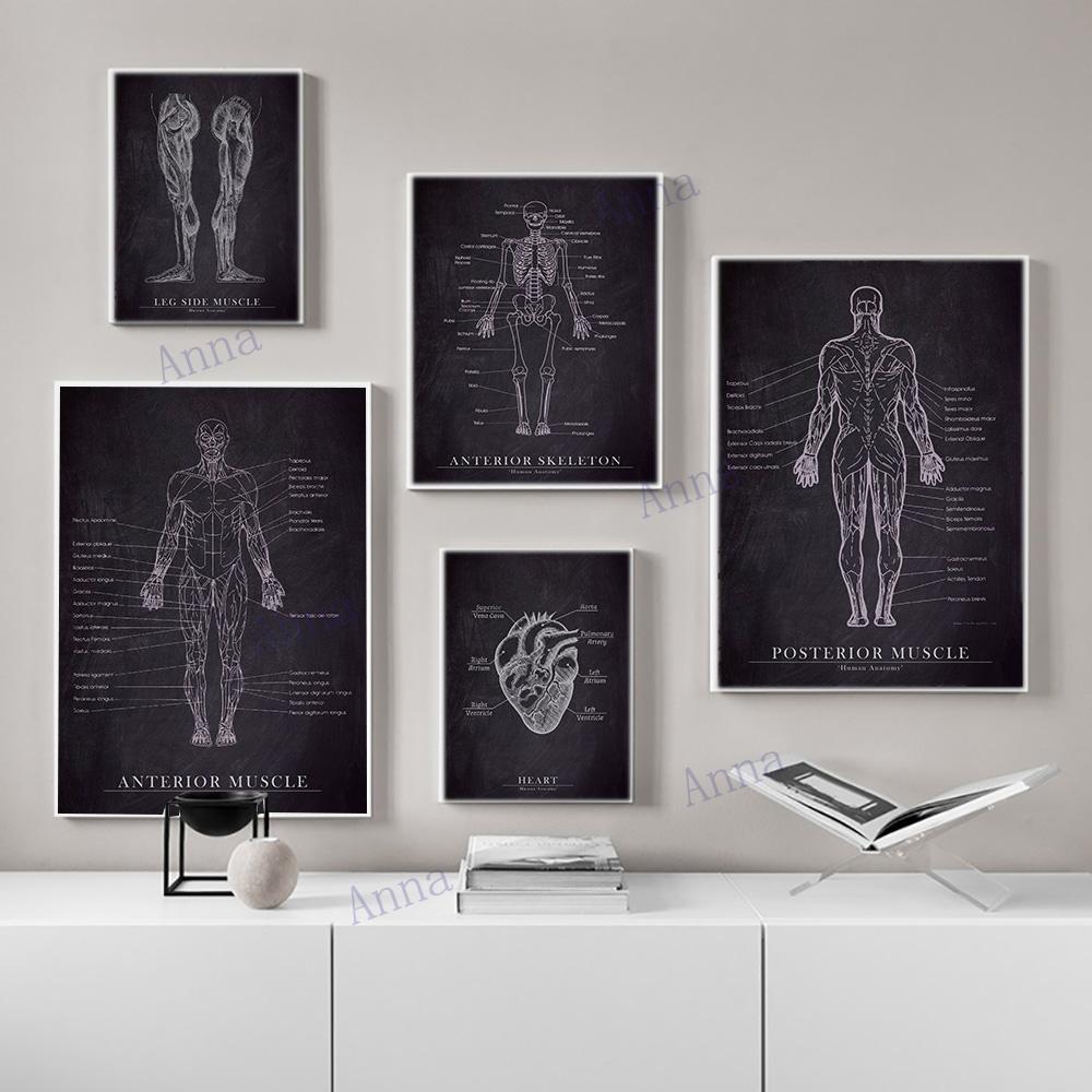 Muscle Foot Bone Heart Anatomy Skeleton Wall Art Canvas Painting Nordic Posters And Prints Wall Pictures For Doctor Office Decor