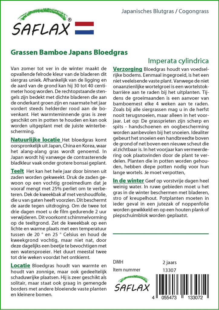 SAFLAX Когонгграсс - 50 семян - Imperata cylindrica