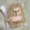 [USED] Skzoo Hankooka Plush Toy 10cm