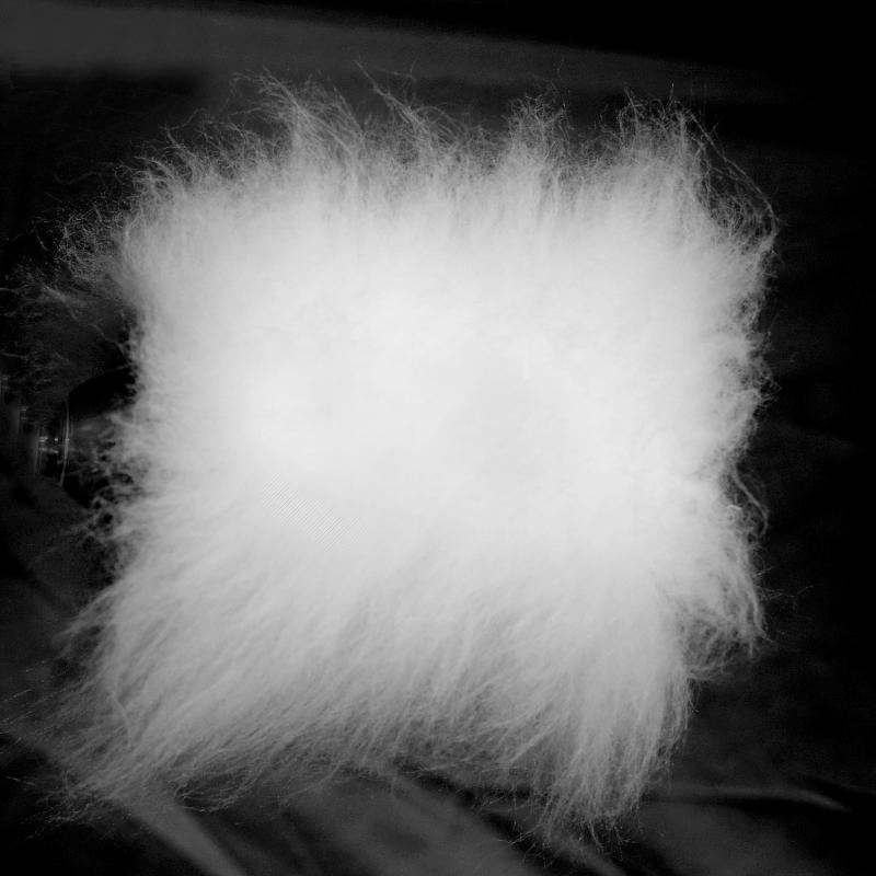 Mr. Jiang Pet Wig Grooming Cylinder Pack of 5 tablets model dog for pet grooming Pet Groomer Practice ( no mannequin)