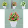 Artificial Causonis Japonica Plant With Realistic Design For Home And Office Decor