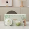 Elegant Light Green Gradient Ceramic Tea & Aroma Gift Set
