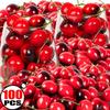 10/100x Foam Fruit Simulation Cherry Artificial Red Black Cherry Fruit Model Photography Props Cake Decor Fake Fruit Wholesale