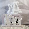 Easter Bunny Plaster Mold 3D Resin Mold Creative Aromatherapy Candle Mold  Home Decor