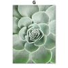 Green Tropical Agave Tulip Monstera Succulents Wall Art Canvas  PostersPainting And Prints Wall Pictures For Living Room Decor