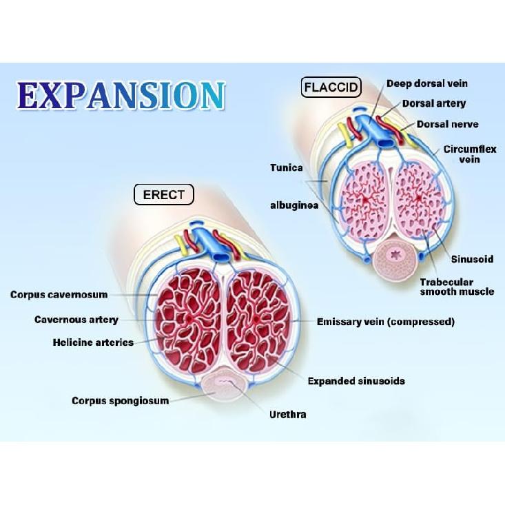 Electric Penis Enlarge Vacuum Pump with 4 Suction Intensities, Adorime Rechargeable Automatic High-Vacuum Penis Enlargement Extend Pump, Air Pressure