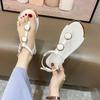 Fashion Shoes for Women 2024 Buckle Strap Women's Sandals Fashion Metal Decoration Dress Sandals Women Hot Sale Pinch Toe Flat Sandals
