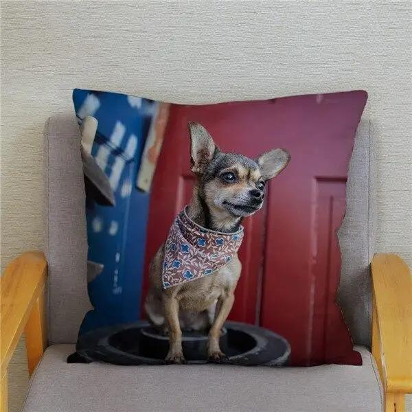 Милая Мини Собака Чихуахуа Декоративная Наволочка Офис Гостиная Автомобиль Украшения Дома Наволочка