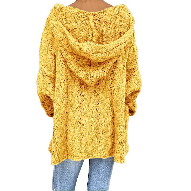 Women's Autumn and Winter Knitted Thickened Twist V-Neck Hooded Loose Sweater