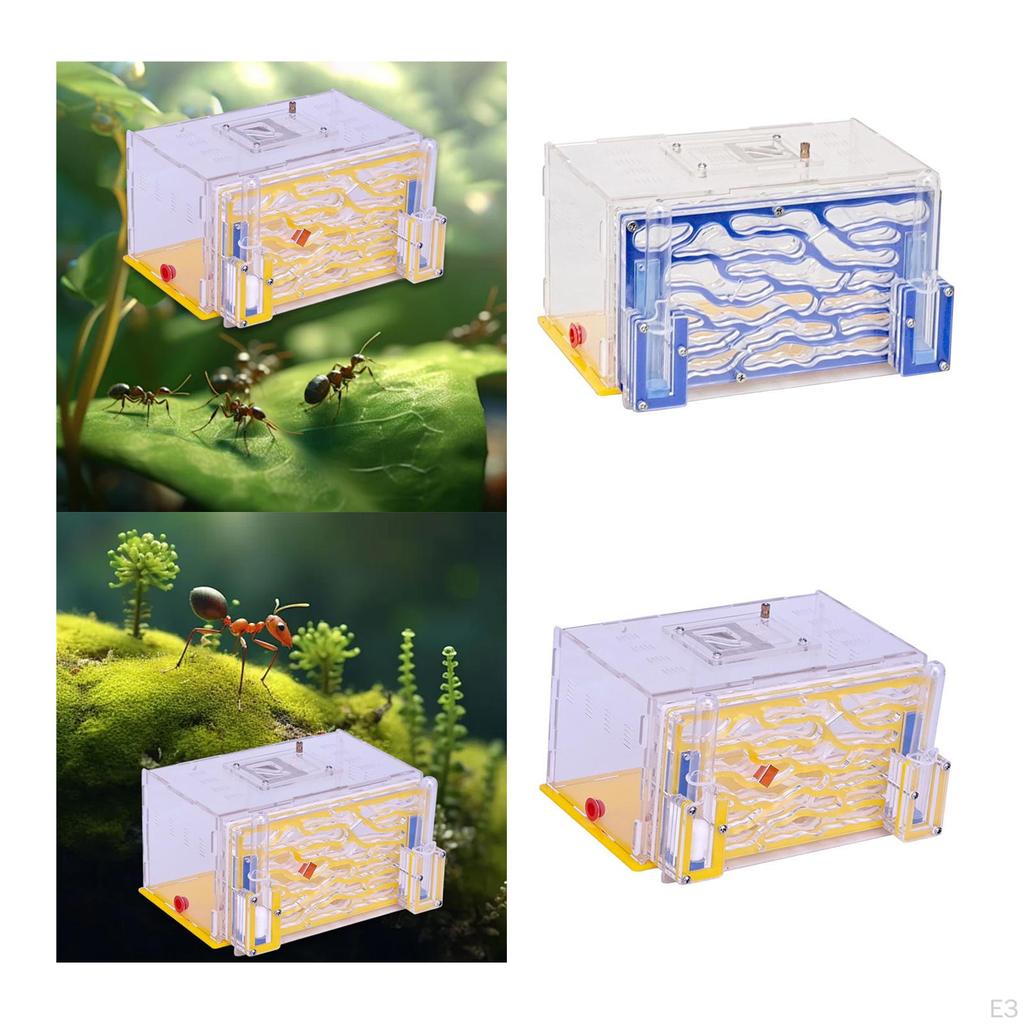 Домик Nest Farm Среда обитания Инкубатор для разведения на День рождения Дом День защиты детей