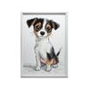 Śliczny Jack Russell Terrier - Plakat Dla Dzieci Śliczny Jack Russell Terrier - Plakat Dla Dzieci, 50X70 Cm, Bez Ramy, Papier Matowy 230 Gsm