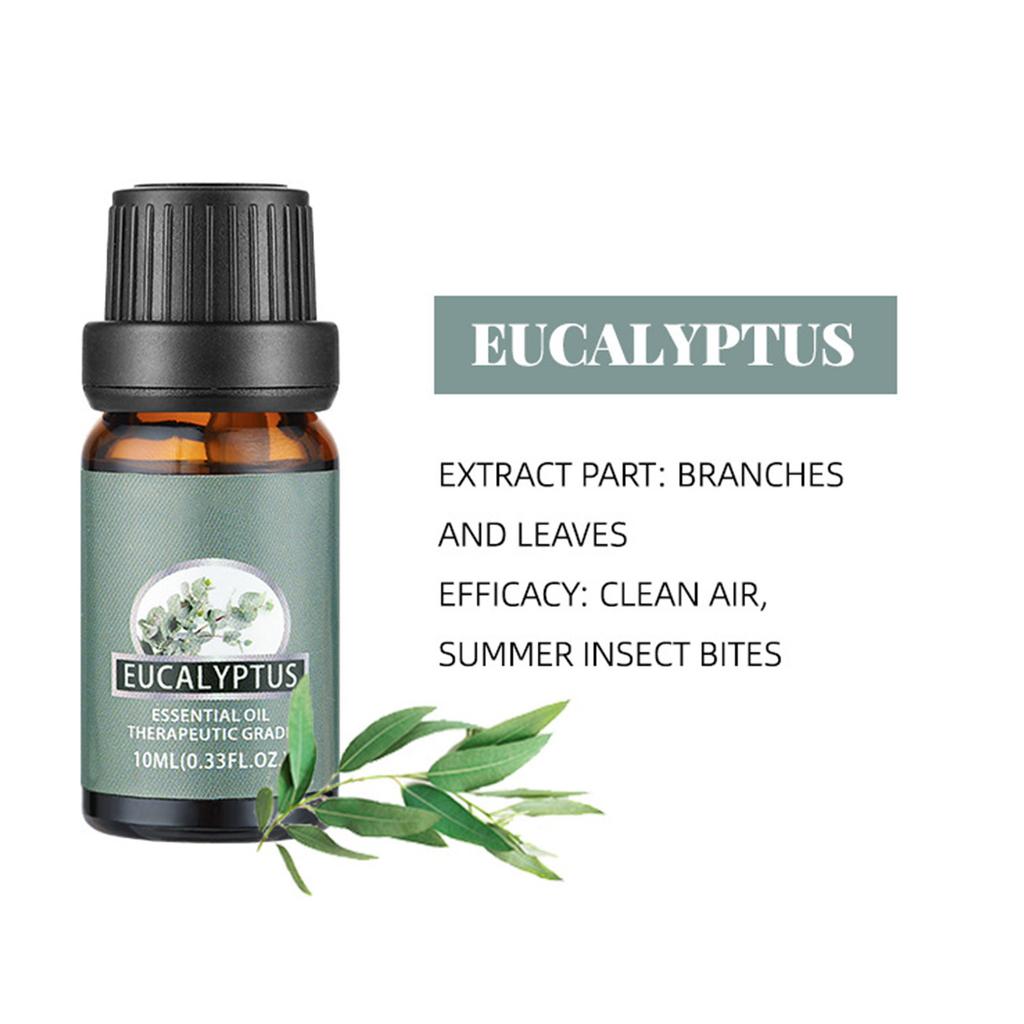 10ml Relaxing Massage Oil for Body Care, Soothing Aromatherapy Gift Set with Moisturizing Hydration for Skin