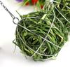 Stainless Steel Round Sphere Feed Dispense Exercise Hanging Hay Ball Guinea Pig Hamster Rabbit Pet Toy