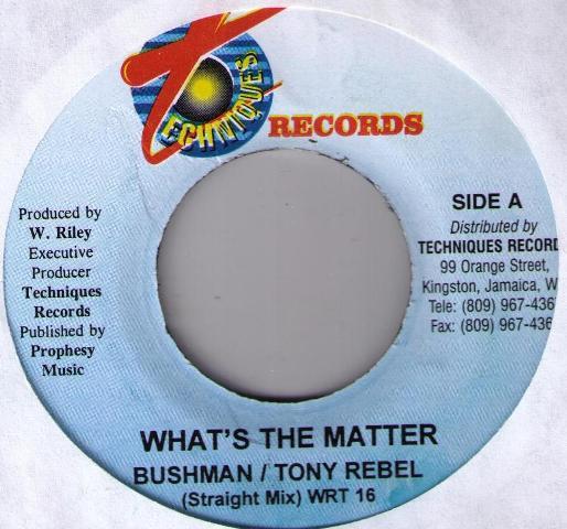 7-дюймовая пластинка BUSHMAN Whats The Matter NONE Ямайка Регги Ска Даб Б/у