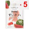 JA Nippon Ale Kumamoto Watermelon Gummi 40 гБренд Nippon Ale с крылатой фразой «рожденный в Японии», бренд Nippo Nippon Ale с крылатой фразой «рожденный в Японии»,
